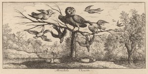 Monedula, ugglan av Albert Flamen