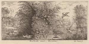 Rusticula moll, Snipen av Albert Flamen