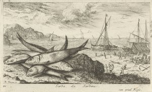 Sardiner på stranden Sarda, La Sardine. (titel på objekt) Fiskar och andra havsdjur - saltvatten första serie (serietitel) Diverse Especes de Poissons de mer (serietitel) av Albert Flamen