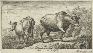 tjurar Bos le Boeuf (titel på objekt) Olika djurarter (serietitel) av Albert Flamen