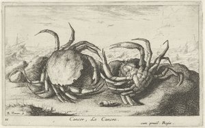 Två krabbor på stranden Cancer, Le Cancre (titel på objekt) Fiskar och andra havsdjur - saltvatten första serie (serietitel) Diverse Especes de Poissons de mer (serietitel) av Albert Flamen