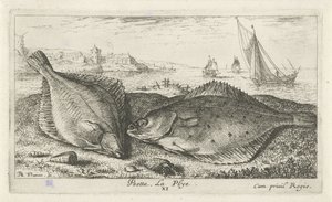 Två plattfiskar på stranden psetta. La Plye. (titel på objekt) Fiskar och andra havsdjur - saltvattens andra serie (serietitel) Poissons de mer (serietitel) av Albert Flamen