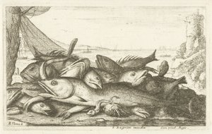 Eremitkräfta fiske Olika fiskarter (serietitel) Diverses Especes De Poissons tant de Mer, que d