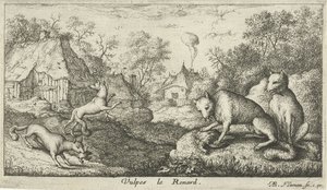 rävar Vulpes le Renard (titel på objekt) Olika djurarter (serietitel) av Albert Flamen