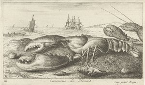 Hummer på stranden Cammarus. Le Homard (titel på objekt) Fiskar och andra havsdjur - saltvatten första serie (serietitel) Diverses Especes de Poissons de mer (serietitel) av Albert Flamen