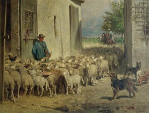 Återgå till fårhuset, 1860