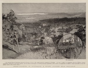 Fåruppfödning i Australien, en modellstation nära Ballarat