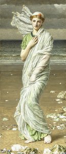 Snäckskal, 1875