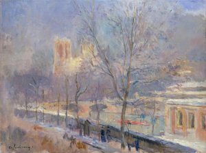 Notre-Dame de Paris sett från Quai de la Tournelle, effekt av n