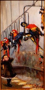Parrot House, London Zoo