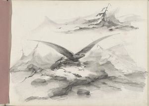 Örn som flyger över en kust med berg