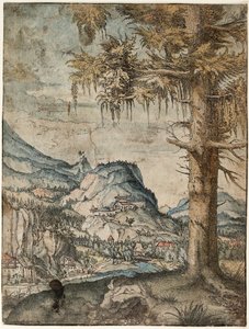 Tyska: Den stora granen Stor gran av Albrecht Altdorfer
