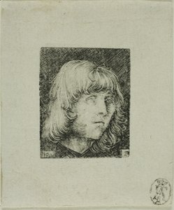 Chef för en ung man av Albrecht Altdorfer