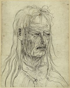 Huvudet på en ful gammal kvinna, åt höger av Albrecht Altdorfer