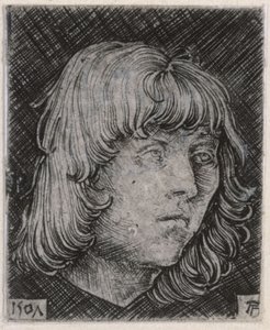 Huvud av en ung man av Albrecht Altdorfer