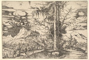 Landskap med dubbelgran, ca. 1521-22. av Albrecht Altdorfer