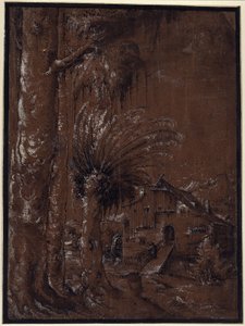 Landskap med vattenkvarn av Albrecht Altdorfer