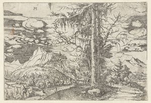 Landskap med dubbelgran av Albrecht Altdorfer