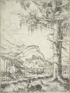 Den stora granen, c.1520 av Albrecht Altdorfer