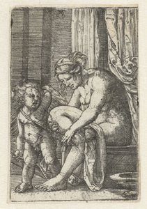 Venus efter badet av Albrecht Altdorfer