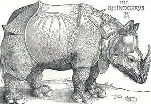 En noshörning, 1515, 1906 av Albrecht Dürer