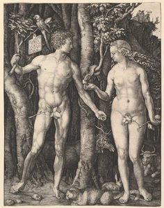  av Albrecht Dürer