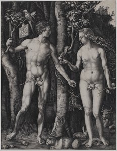  av Albrecht Dürer