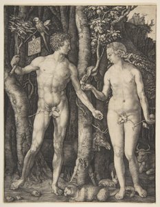  av Albrecht Dürer