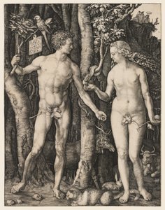  av Albrecht Dürer