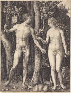  av Albrecht Dürer