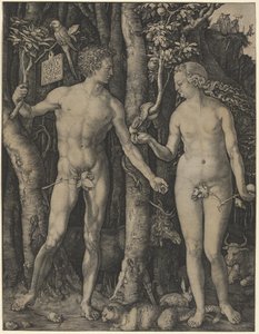  av Albrecht Dürer