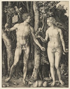 Adam och Eva, 1504 av Albrecht Dürer