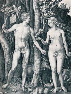 Adam och Eva, 1504 1906 av Albrecht Dürer