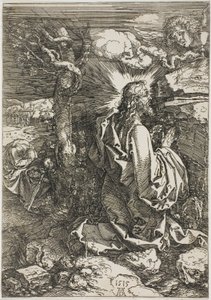 Kval i trädgården av Albrecht Dürer