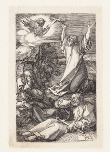 Kval i trädgården av Albrecht Dürer