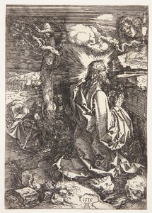 Kval i trädgården av Albrecht Dürer