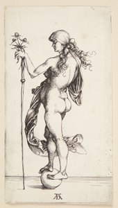 Förmögenhet av Albrecht Dürer