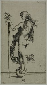 Förmögenhet av Albrecht Dürer