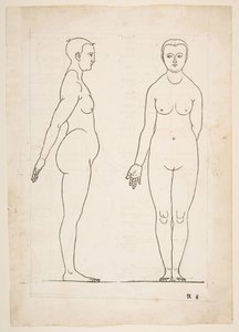 IIllustration från Dürers Four Books of Human Proportion, Nürnberg, 1528.n.d. av Albrecht Dürer