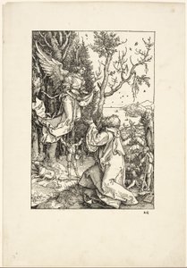 Joachim och ängeln, från Jungfruns liv av Albrecht Dürer