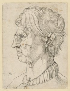 Huvud av en äldre skägglös man, i profil åt vänster av Albrecht Dürer