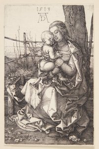 Madonna ammar av Albrecht Dürer