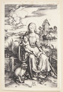 Madonna med apan av Albrecht Dürer