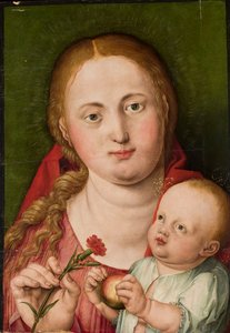 Madonna med barnet och en nejlika av Albrecht Dürer