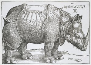 Neushoorn Noshörning (titel på objekt) av Albrecht Dürer
