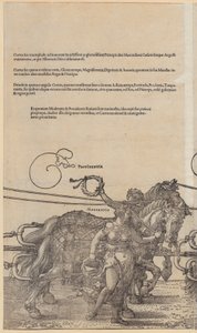  av Albrecht Dürer