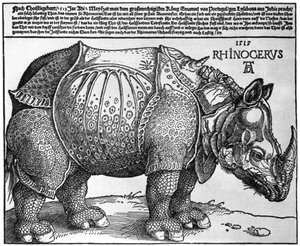 Noshörning, tryck ges till Maximilian I av kungen av Lissabon, 1515, 1936 av Albrecht Dürer