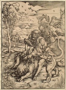  av Albrecht Dürer
