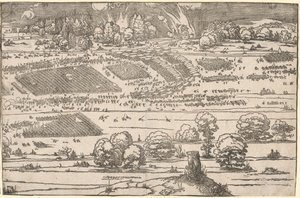 swedish av Albrecht Dürer