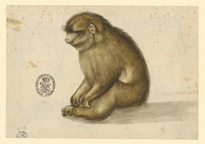  av Albrecht Dürer
